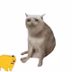 Cash Cat #3666