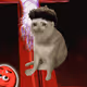 Cash Cat #9660