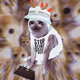 6146