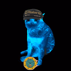 Cash Cat #358