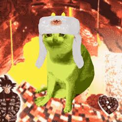 Cash Cat #900