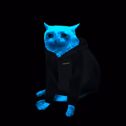 Cash Cat #4817
