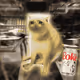 Cash Cat #1736