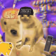Cash Cat #6313