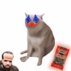 Cash Cat #6902