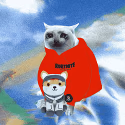 Cash Cat #1267