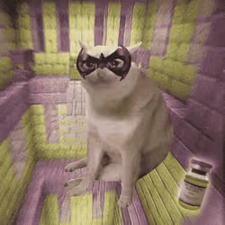 Cash Cat #7104