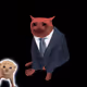 8036