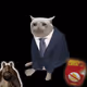 1141