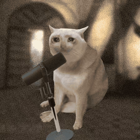 Cash Cat #6137