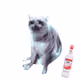 Cash Cat #5418