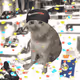 7362