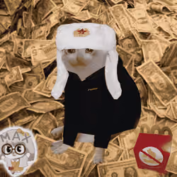 Cash Cat #3955