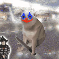 Cash Cat #4740