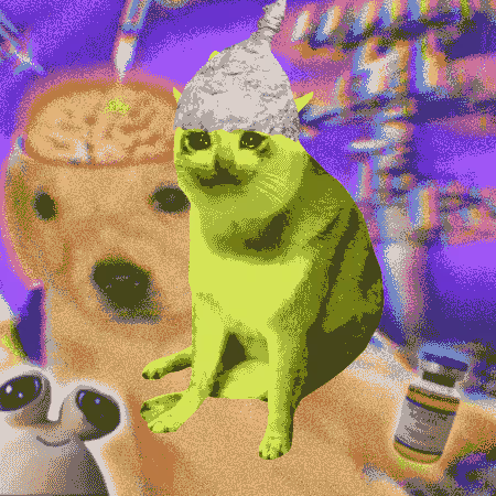 Cash Cat #703