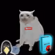 Cash Cat #3154