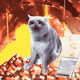 Cash Cat #7483