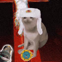 Cash Cat #9685