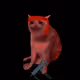 Cash Cat #5551