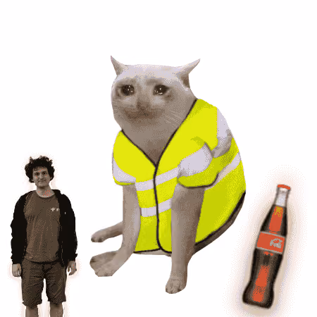 Cash Cat #6426