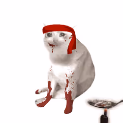 Cash Cat #8928