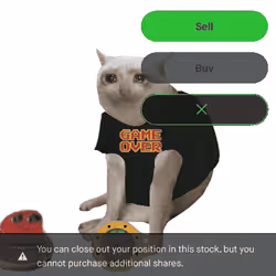 Cash Cat #4358