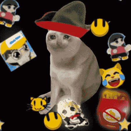 Cash Cat #4858
