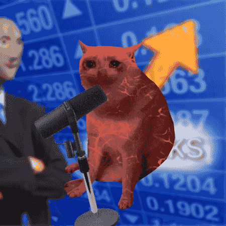 Cash Cat #2282