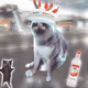 7055