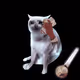 8145