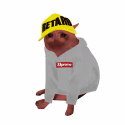 Cash Cat #473