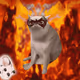9556