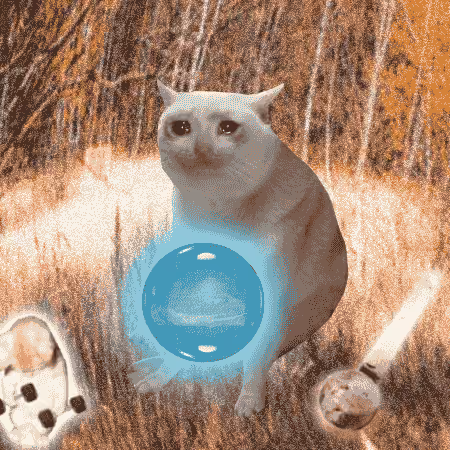 Cash Cat #1306