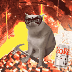 Cash Cat #6160