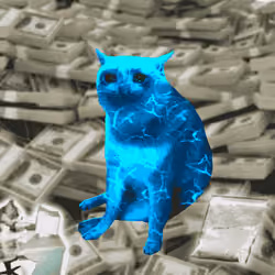Cash Cat #8059