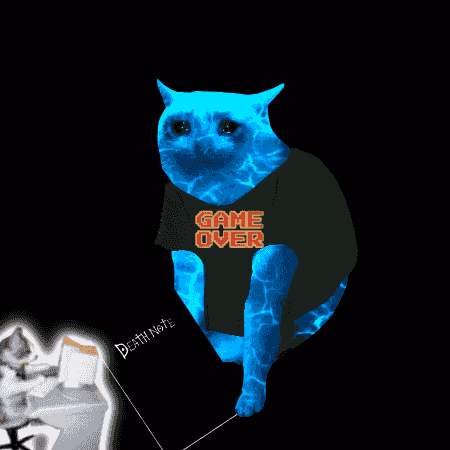 Cash Cat #2143