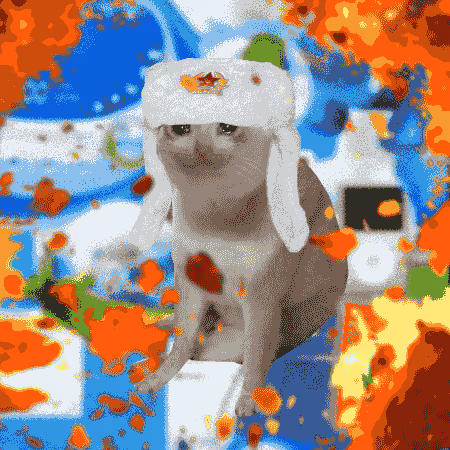 Cash Cat #245