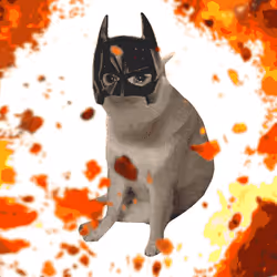 Cash Cat #5105