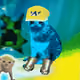 6448