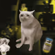 4461