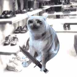Cash Cat #3754