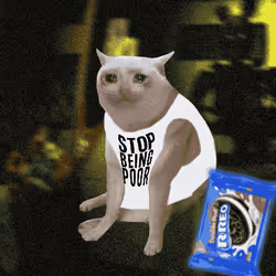 Cash Cat #6625