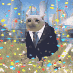Cash Cat #6274