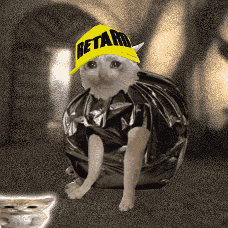 Cash Cat #413