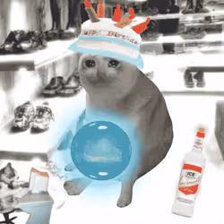 Cash Cat #4128