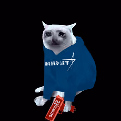 Cash Cat #7456