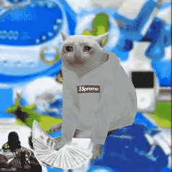 Cash Cat #7875