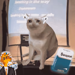 Cash Cat #3085