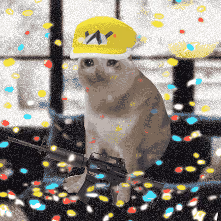 Cash Cat #7556