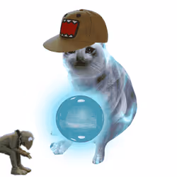 Cash Cat #2542